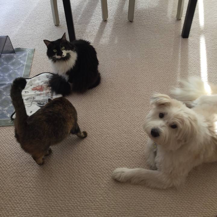 07683a98 f198 4e92 ac50 739a2b50aa59