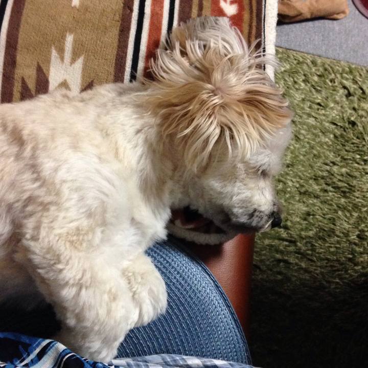 076842a4 79ce 42f1 9177 fa2d93d7bd4b