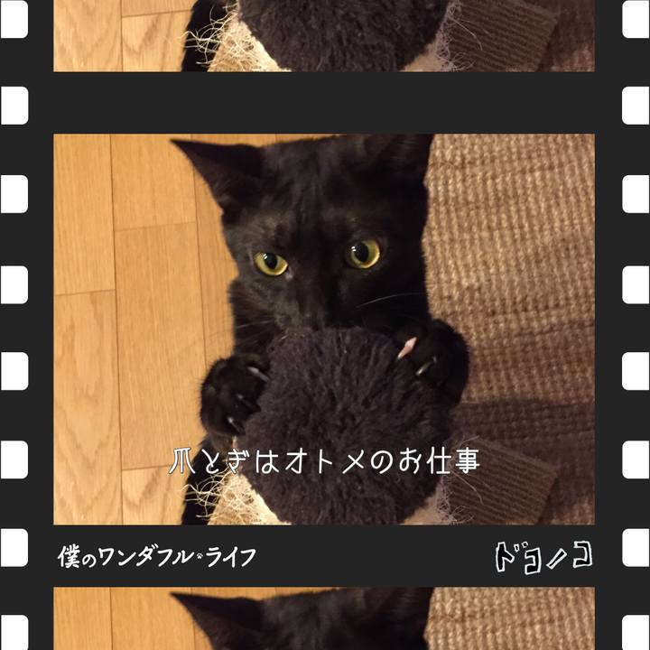 07690a8a e99f 4d8c 9de2 2f951dc655e9