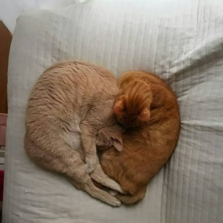 07694609 3641 4a58 96d3 8d30c6ff64f3