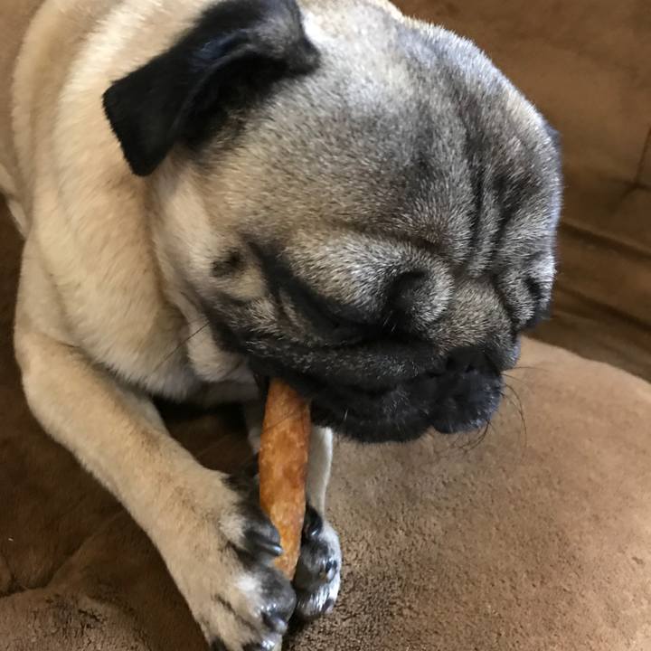 076a4f1f 8d76 4e7e b47f 8527af15e783