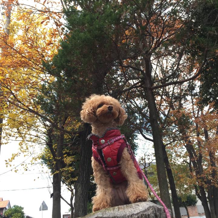 076ad95d 5579 4215 bf5c 0a76af08aa6d