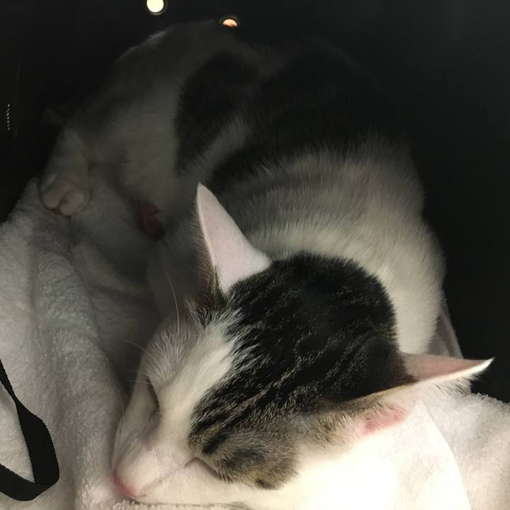 076ade7b 7703 451c ba84 f0d49b159605