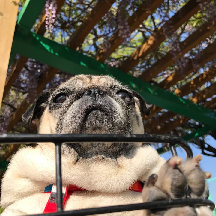 076ae9c2 4c56 4de0 87f5 6984a89b3efc