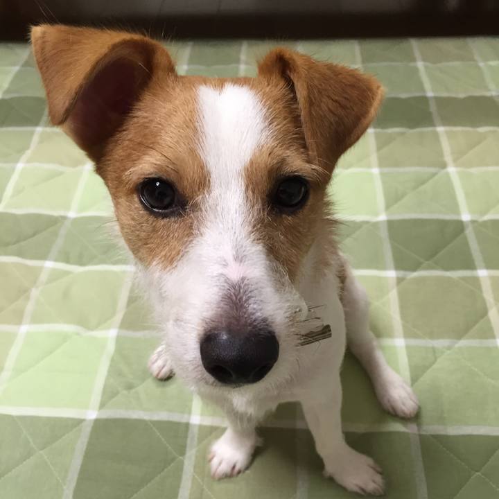 076b4635 db63 447a 81b7 c2b9b7f1499f