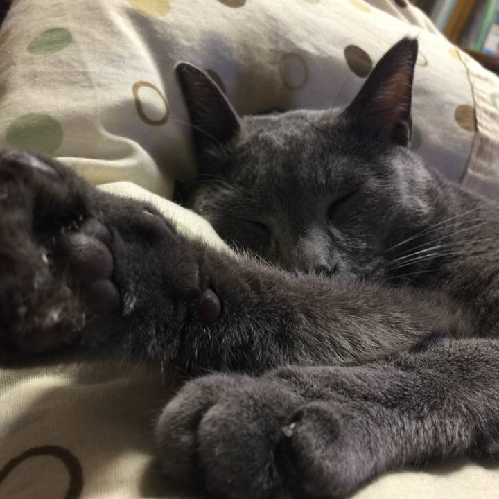 076b520b 1a58 42b1 af12 8eaf621f37e4