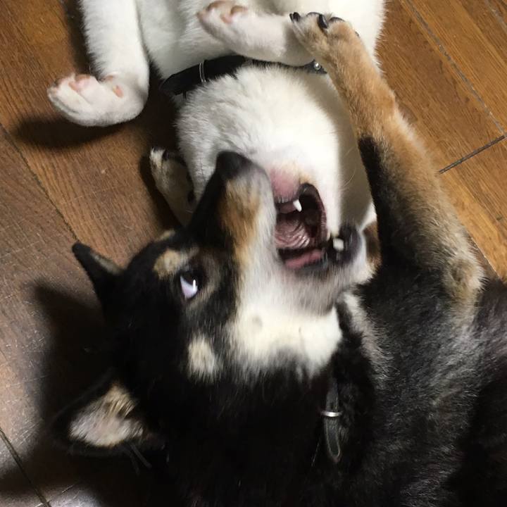 076b69c6 ce0e 41a9 82f0 26533a11b91a