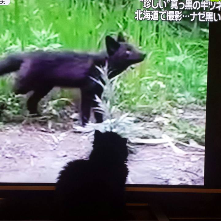 076b787b 61e3 4db3 9825 c09a64a604c1