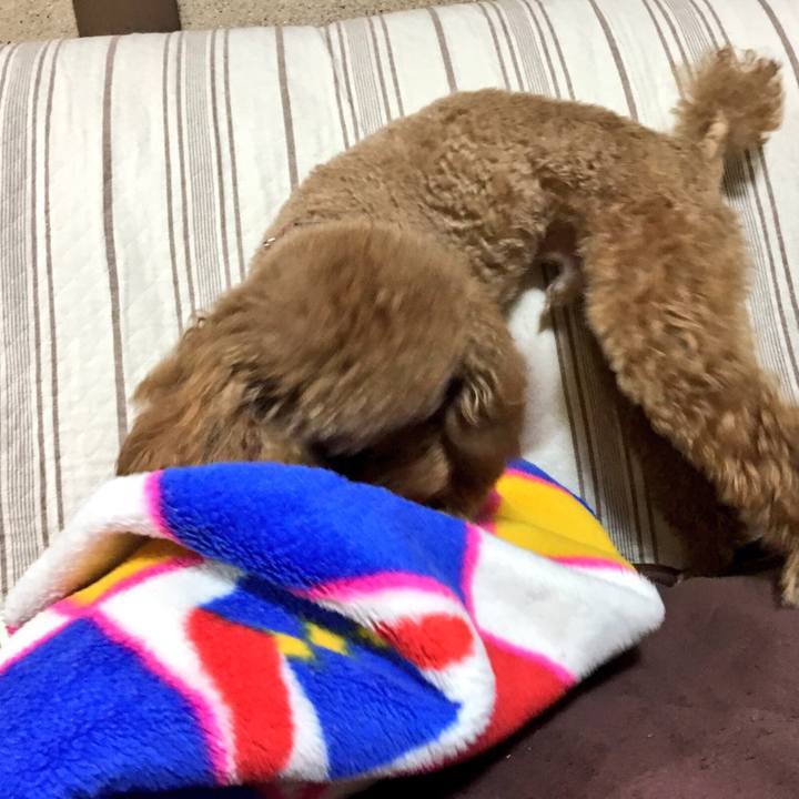 076caf7e 20a7 417b 9522 a5a256992032