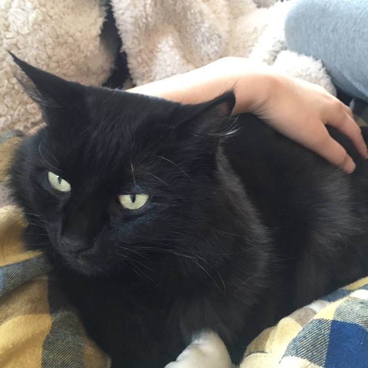 076cdcd3 fca6 4e7f aa12 1a1624269c4e