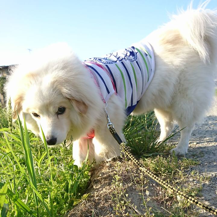 076d4798 97b8 45b6 97d3 f006c8967239