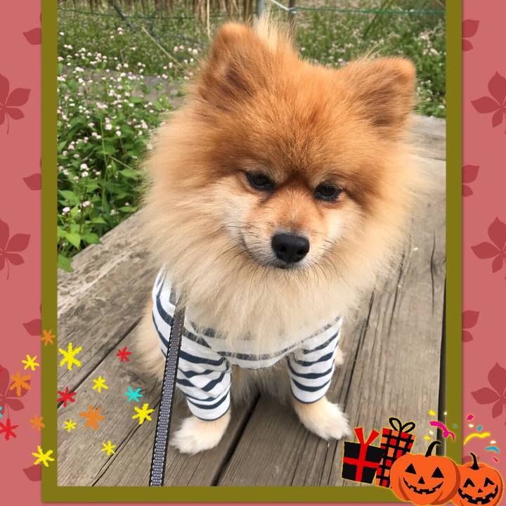 076d59c0 439f 4eb6 a954 bffee3323c1f