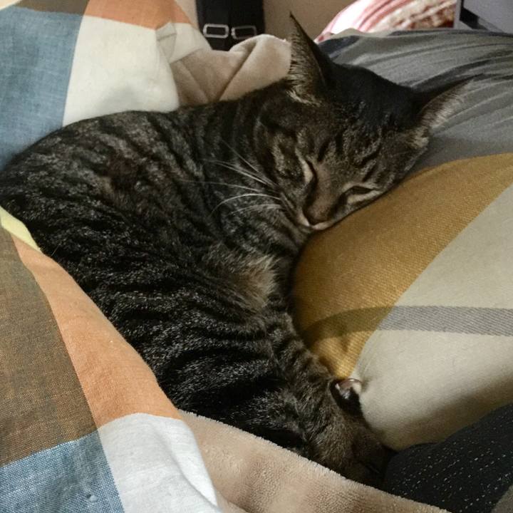 076dfab7 b64f 49c9 bffe 67963de05030