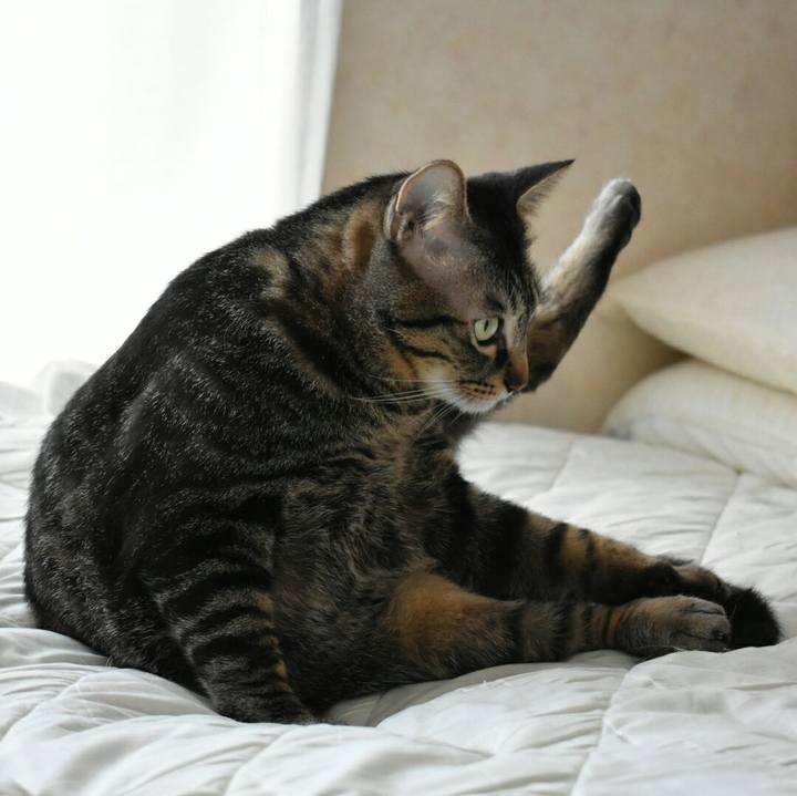 076e7dd5 d1f9 452b a609 6aefaed700f3