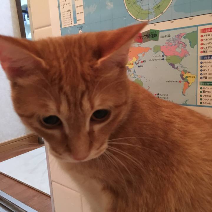 076f1288 fd5d 4e5c bf4e c038d6da88e2