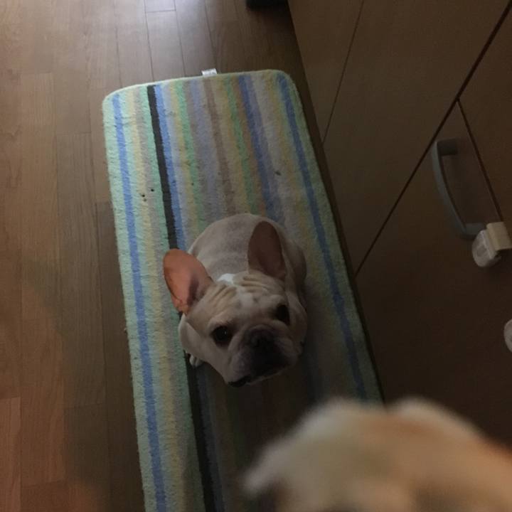 076f2452 2fe1 4ffc 8b0f 6e187ec17f31