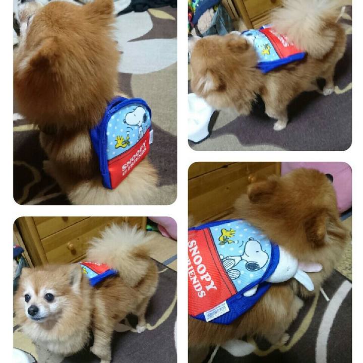 07707808 f671 4753 a2b1 35195afa8fce