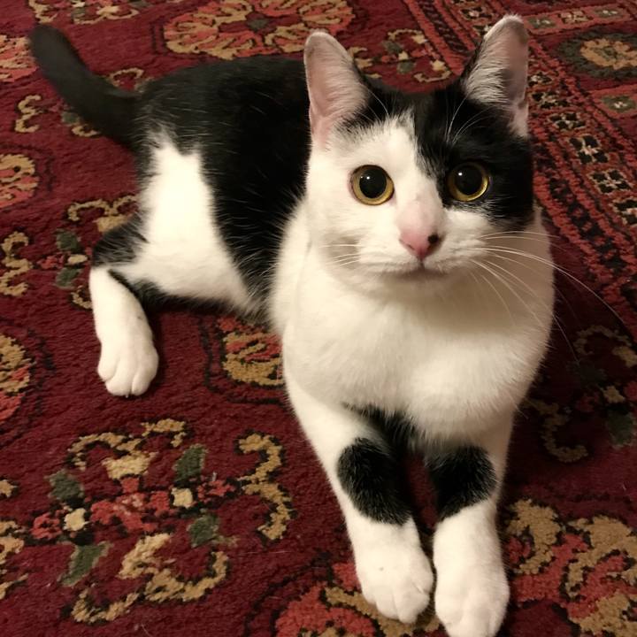 07708a56 8505 4b0e 9642 3c8211fd3b81