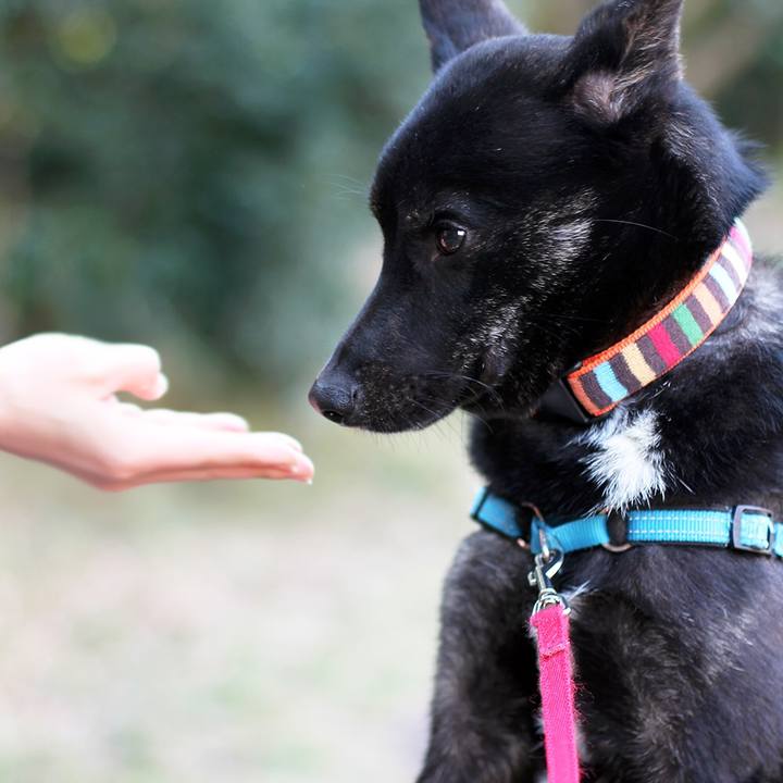 07709dbe f93a 4cdf 9c14 a0fcc911627f