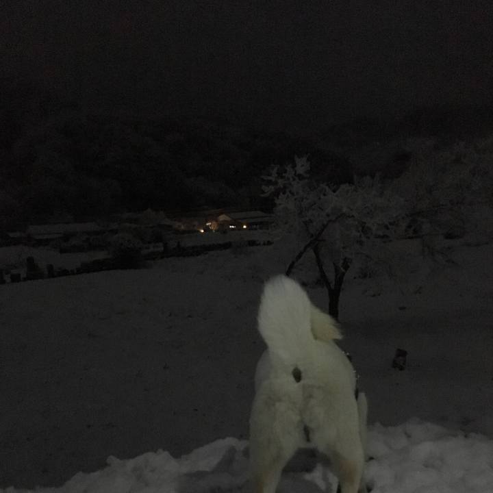 0770c77d 61bf 4632 a6ef d74a42b3c8cd