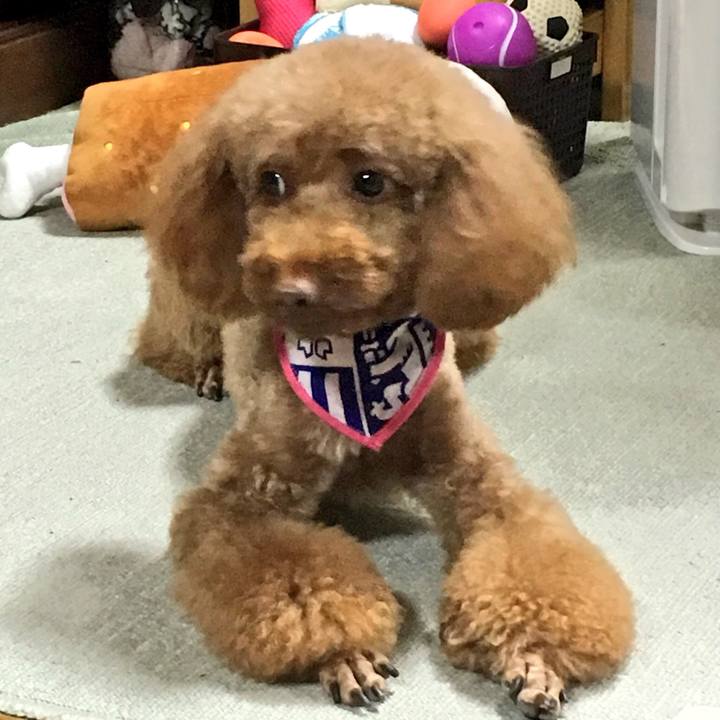 077213fe 933e 4bbb adf1 4f29ae738ca2