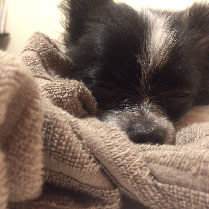 0772797d e224 442c b47e eefd683ab776