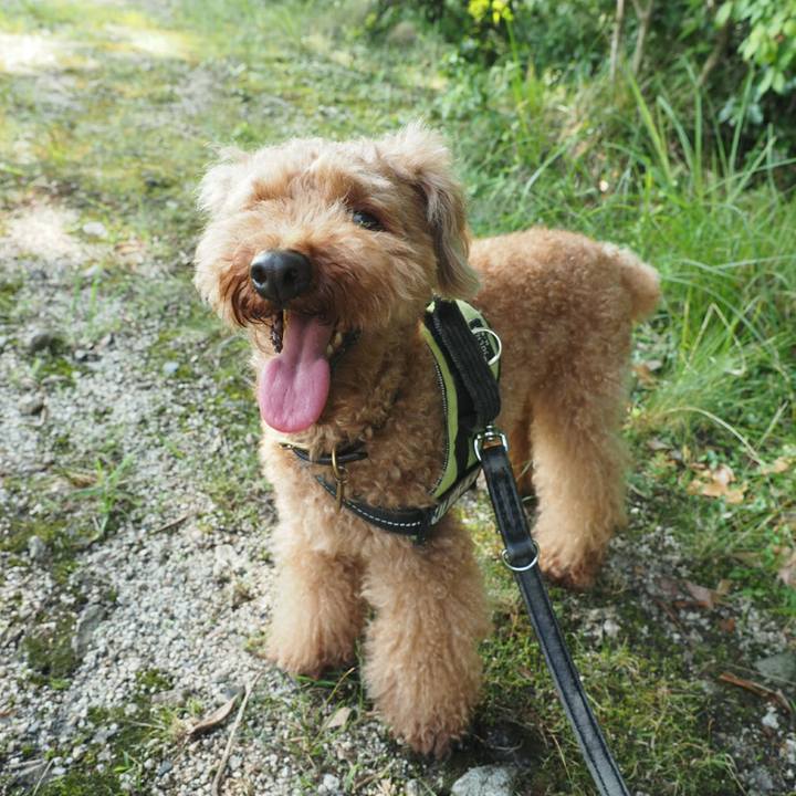 077296f9 e009 45a1 a86d 1ae37bd86a9b