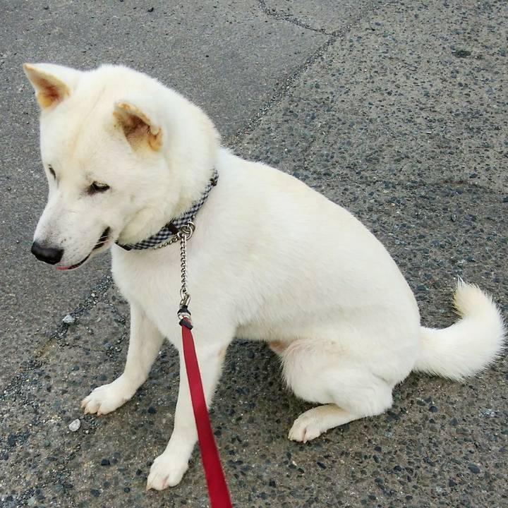 0772c6ae 4b46 45ed 8aad f2333c3014ec