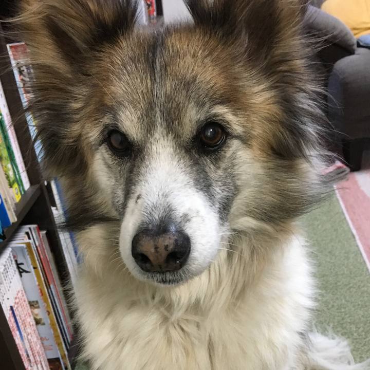 0772fd90 bb04 4ae9 a5d5 257a0ef16f56