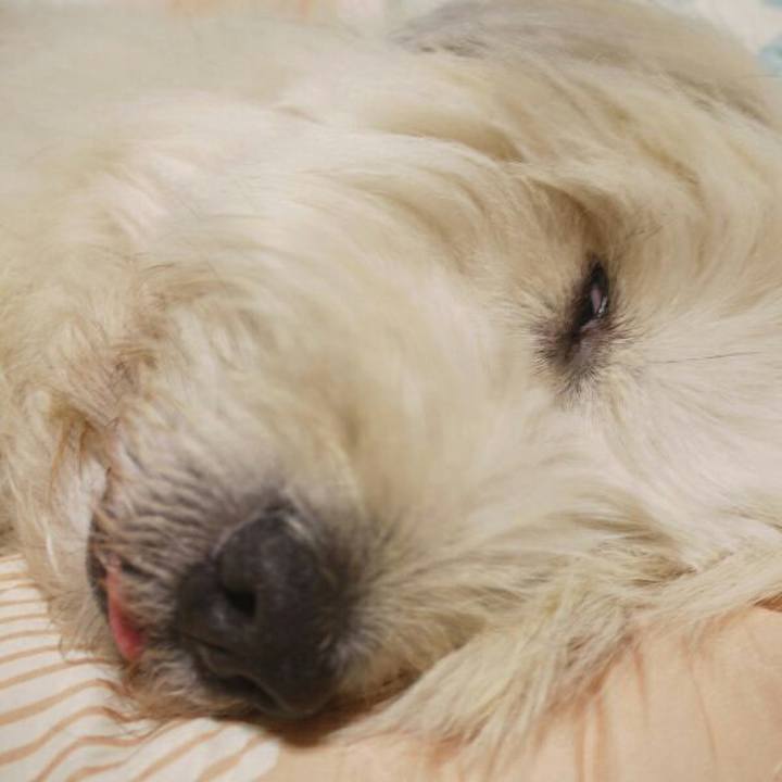 0772fe18 3c9c 4166 8645 4db8485ffb60