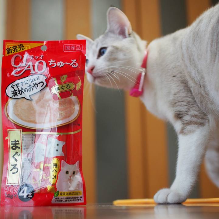 07731ee3 8500 453c a8d5 af550432b7ce