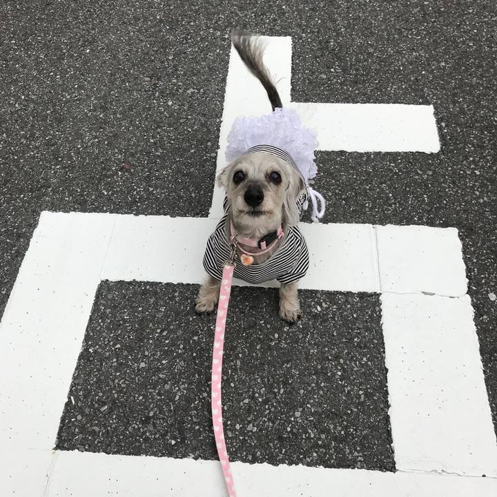 077337b2 668f 40c4 abc4 4142674dddab