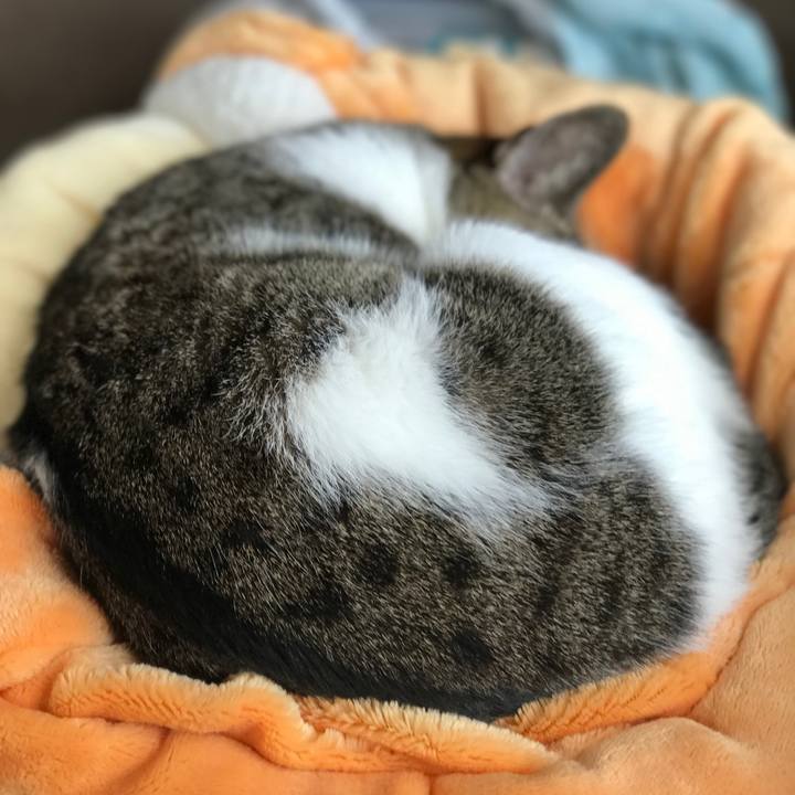 0773910e b4c1 4705 a8d2 3b99540aff8f