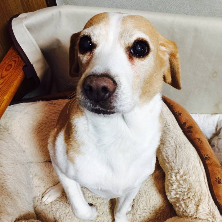 0773c36a c5b4 4706 9a3b 7dea802095c8