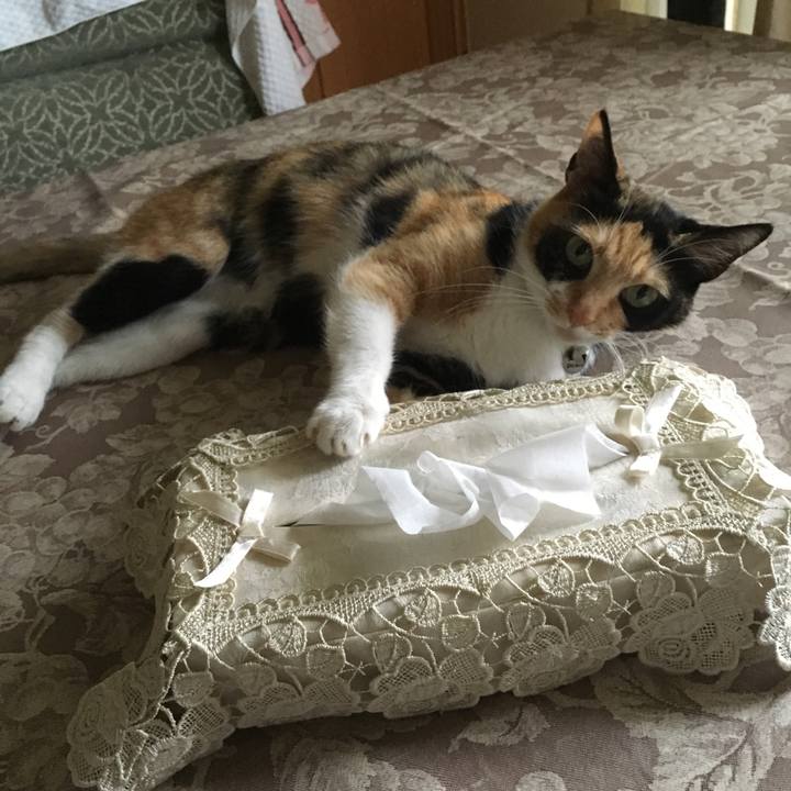 07742a2f 1b24 484e 9a02 c80fc91bb0fe