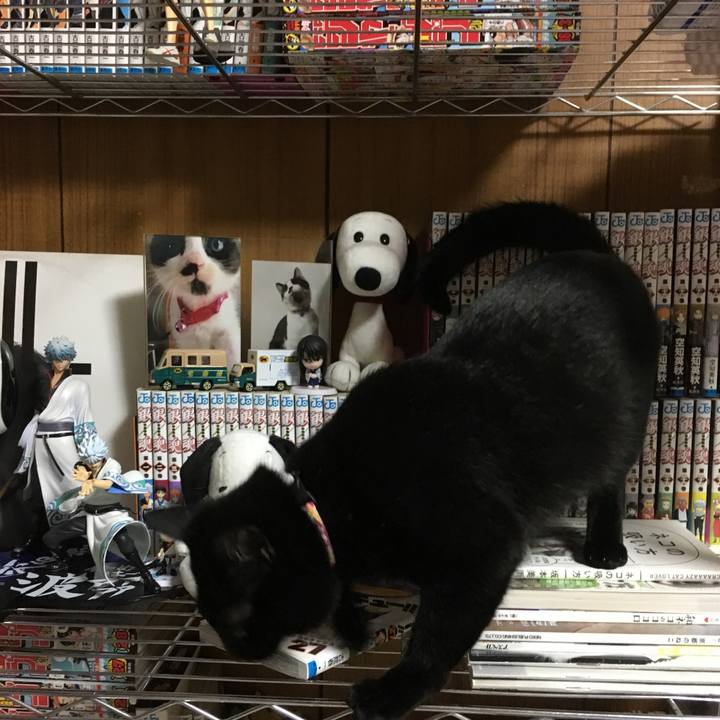 07743d96 5acc 45a0 9ac0 2db9ea17c32b