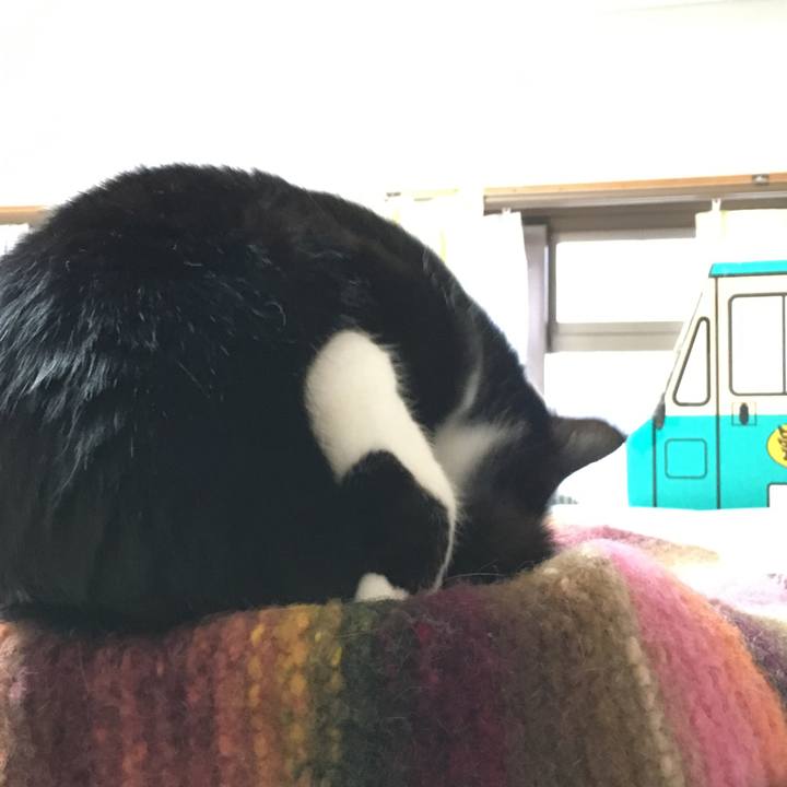 077443b0 ccc0 48aa 962c 930fca411f19