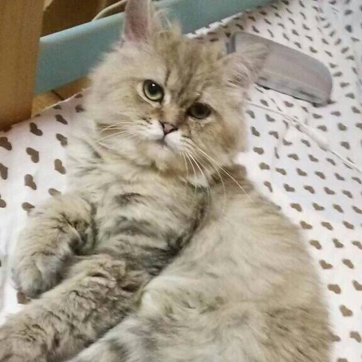 07749bec 5514 4e73 aeea 02b9d6f9054e