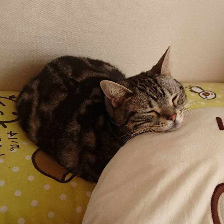 0774de9a 451a 4deb bcaa eb119ce085d9