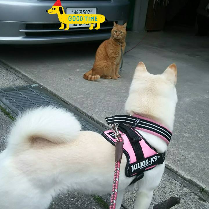 0775059d b37f 415b b878 ced4445cd2c3