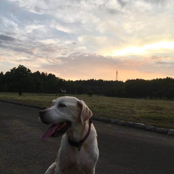 0775256f 9189 4d62 94a7 6a123de1dc32