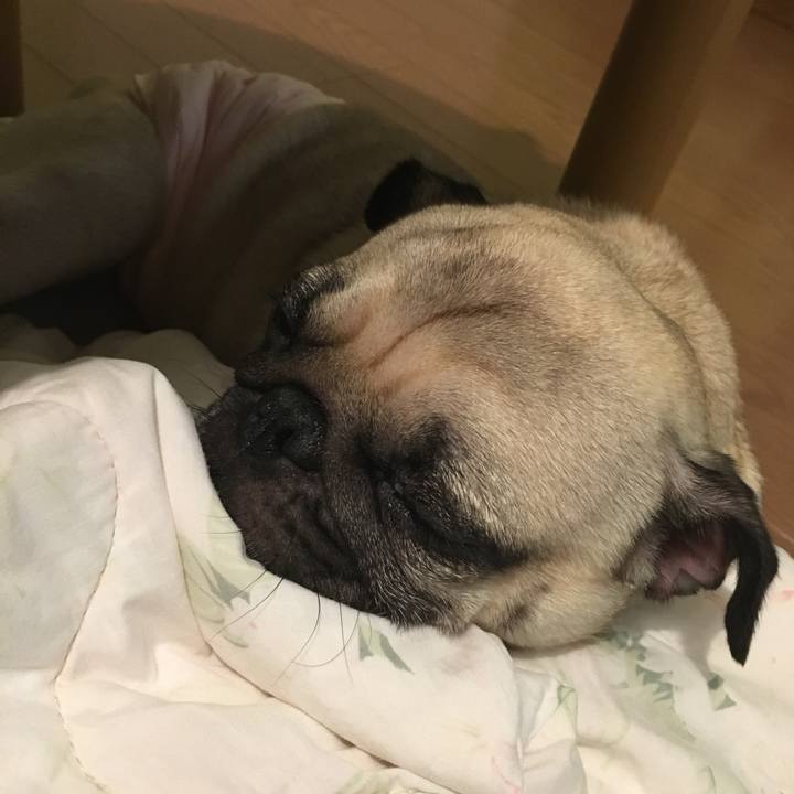 07756d59 abbb 4a90 b2d1 49ca97a5122e