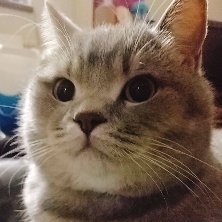 0775b18d 8a78 4c26 81f0 54372c98fb54