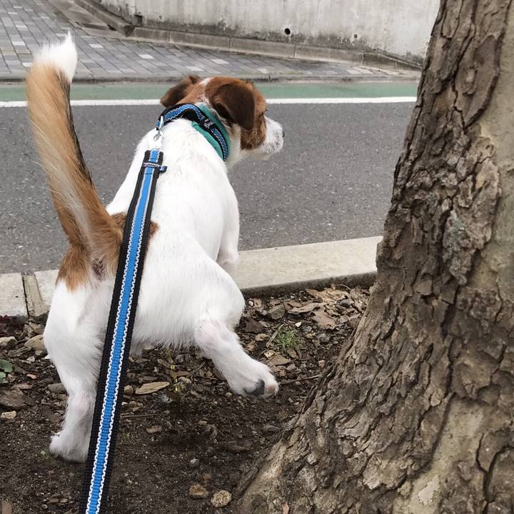 07761bcc 2733 4c58 aac2 4e7cda15d669