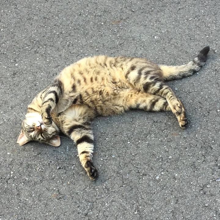 077648dc 0cba 42e8 badf 2a61f5cbf628