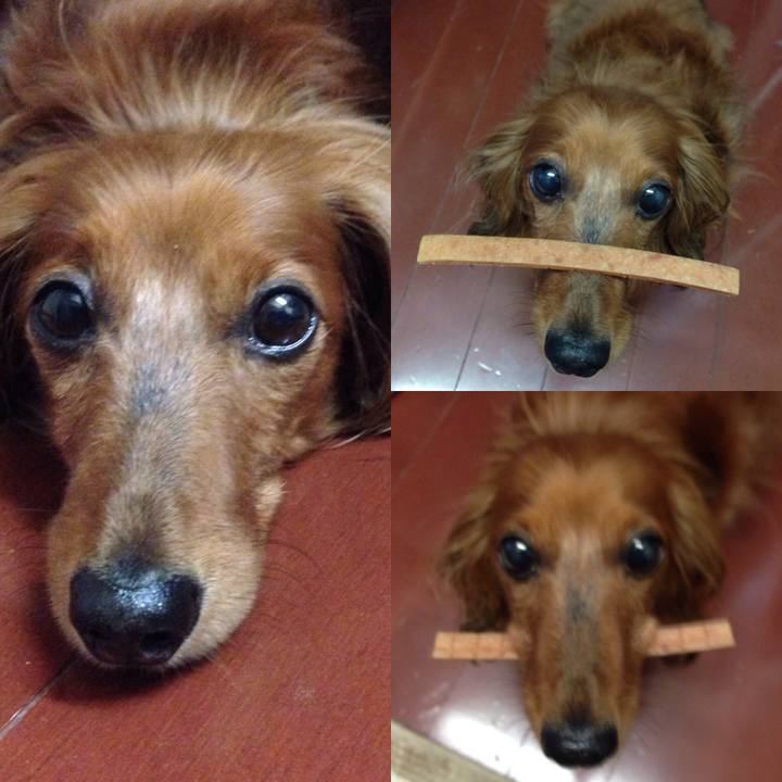 07765292 afbc 428d 87c9 2cefcd53f12f