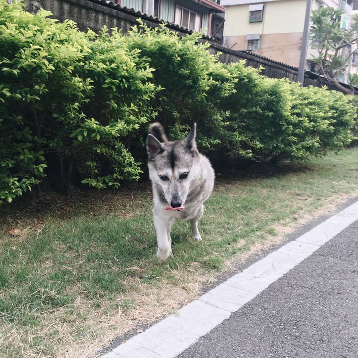 0776c995 9063 4448 98d9 9e5e6bcb03af