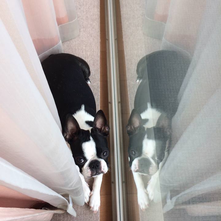 0776d3f1 e08d 463a 901f 8baf586e9991