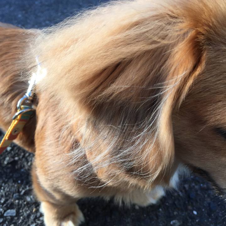 0776e1f0 5f15 4fa2 aa34 2eca166167e7