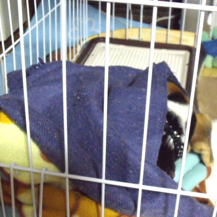 07776ac8 aa37 4965 9264 0798bf381ee2